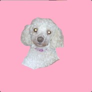 dawidpdw