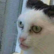 ☛☚