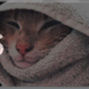 HabibiBomba