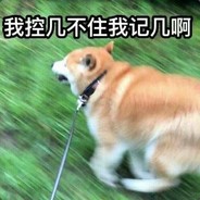 海冷