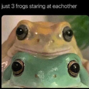 Frogicide