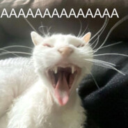 kiikikikikikikikikikikik
