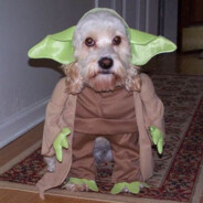 Yoda from Oklahoma