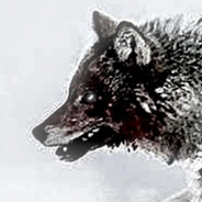Wehrwolf Führer