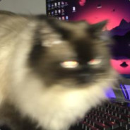 Jon