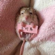 精英战士