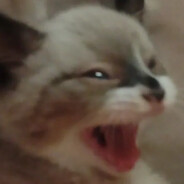Fushi