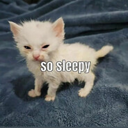 WAY2 SLEEPY
