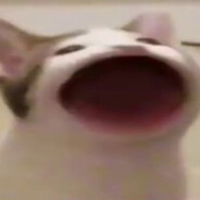 ttv: mne_p0hui
