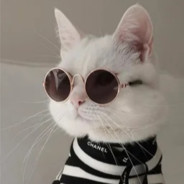 KitCat  URF.IM