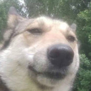 Огненный бамбила's avatar