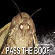 boof