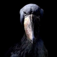 Niga Bird