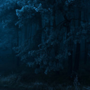 coldblueeyes