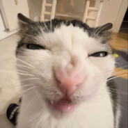 FIKI.MIKI