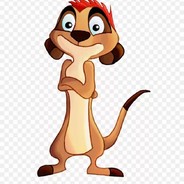 TiMON