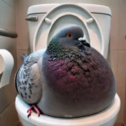 нубикбот1