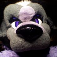 Coyotoy
