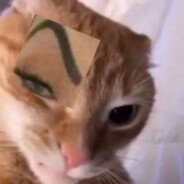 looking4momy