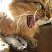fatcat