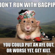Nod for Boops