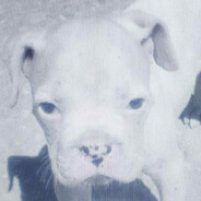 Amy