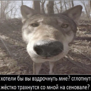 бескрайняя плоть