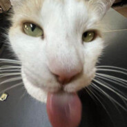 Milly