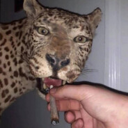 𝚁 𝙸 𝙲 𝙷