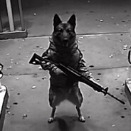 Zago