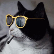 AnonCat