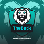 TheBack2641