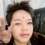 xhbb