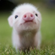 Bacon (LFT)