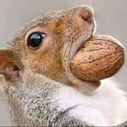 klnsv ♥♥♥♥♥♥♥♥♥♥