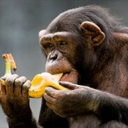 Monobanano