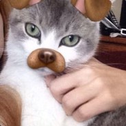 Des
