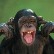 Chimp