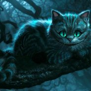 wonderCat