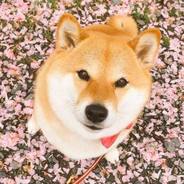 が我が敵を喰らう