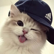 Novus Luvgreekyogurt
