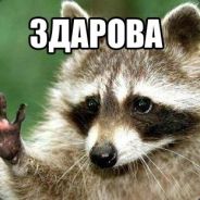 kudr