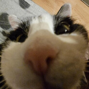 ♡WoJtEk♡♥♥♥♥♥♥♥♥♥♥