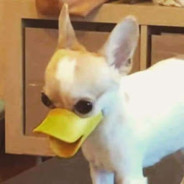 𝓭𝓻𝔂