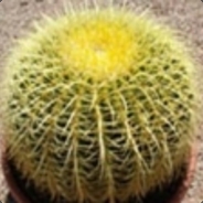 Golden Cactus
