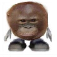 Potote_