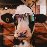 Moo