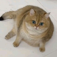Булочка