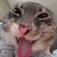 ٴ