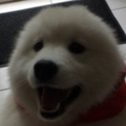 DANNYtheONEandONLY